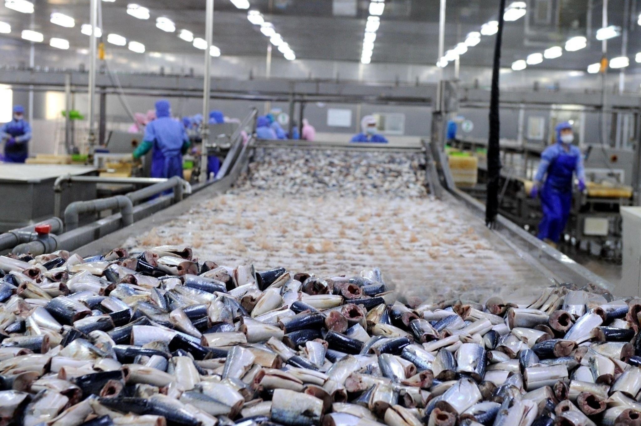 Canned Fish Production Line Custom Processing Filling Packaging Machines