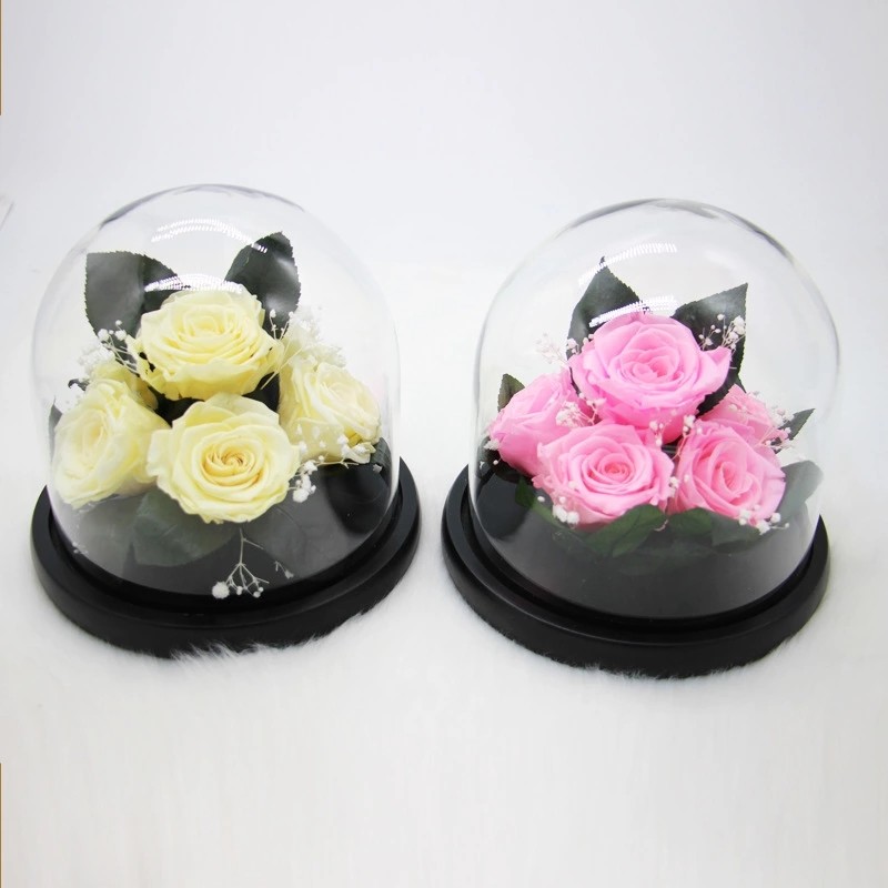 Real Preserved Rose in Glass Dome use for Office gift or Home Decoration