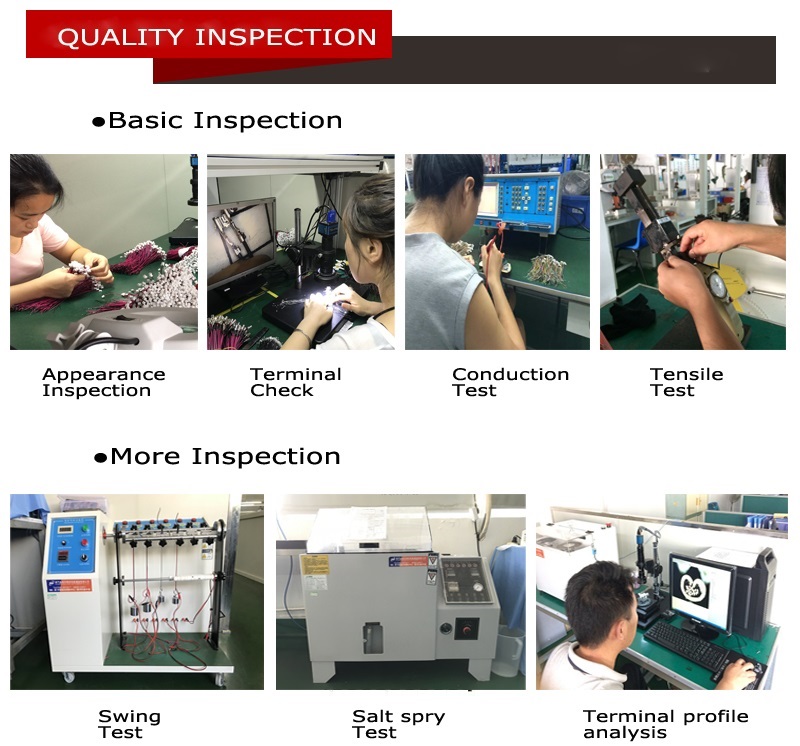 Customized Auto Engine Wiring Harness Cable Assembly for OEM Color in America Market