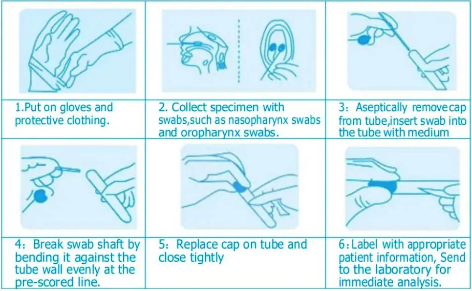 1 nasal swab Specimen Collection Tube , 5ml Viral Transport Kit