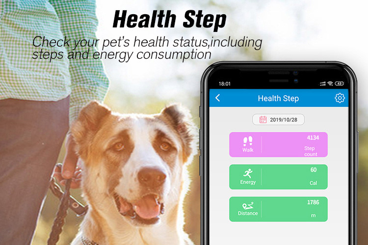 Ariza 4G Waterproof Pet GPS Tracker Device Collar With Camera