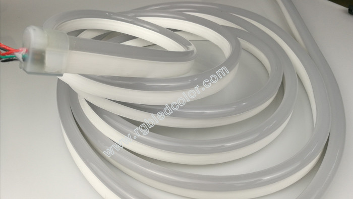 Shenzhen factory dust-free workshop high quality addressable led neon tube strip light