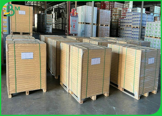 98% Whiteness 240gr +18g PE Cupstock Paper Roll Coating Matt PE For Paper Cup 