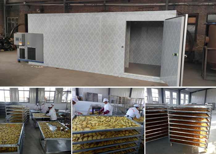 Snack Fruits And Vegetables Industrial Food Drying Machine