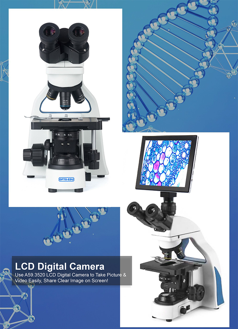 OPTO-EDU A12.0921 Biological 47mm Compound Optical Microscope