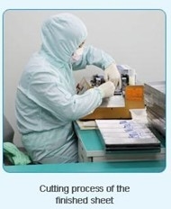 HPV Human Papillomavirus Detection Kit Multiplex Real-time PCR Instructions In Vitro Diagnostic Re