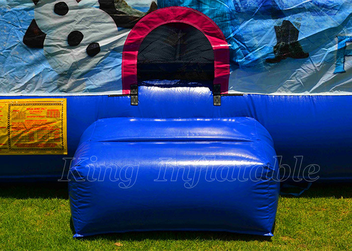 Frozen Elsa Jumping Castle Outdoor Game Inflatable Bounce House For Boys Girls