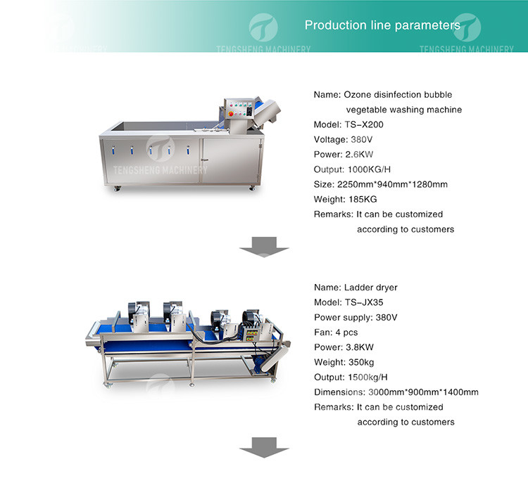 Drying Sorting Circulating Surfing Fruit And Vegetable Processing Line Apple Tengsheng