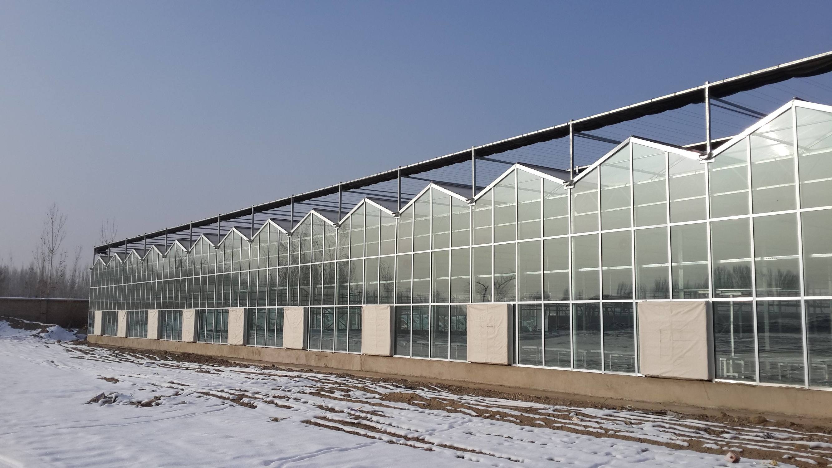 Hydroponic Vertical Farming Greenhouse for Herb and Tomato Growing in Customized Size