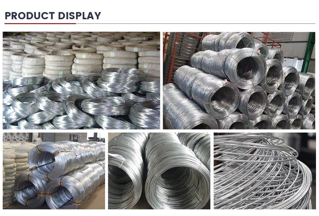 Bottom Price Hot Dipped Galvanized Steel Wire 9 10 12 14 16 18 Gauge Electro Galvanized Gi Iron Binding Wire