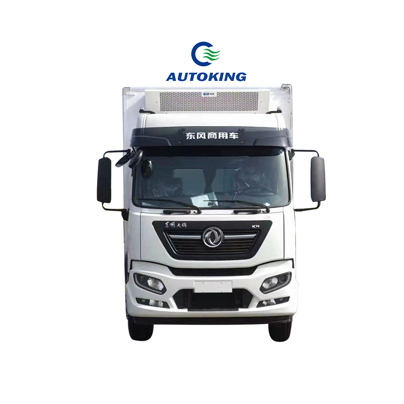 Gasoline 4x2 Refrigerated Truck Body 5 Ton Refrigerated Delivery Van