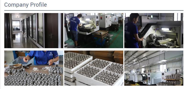 Stainless Steel F/F Thread Swing Check Valve