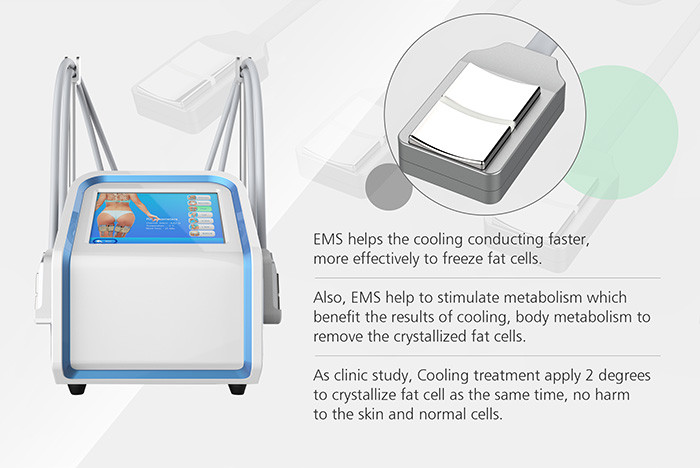 Touch Screen Cryolipolysis Fat Freezing Machine -5-10 Degrees Cool Temperature Range