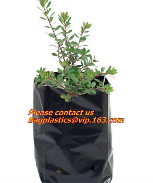Non-Woven Bags Plant Grow Bags Fabric Seedling Pots Plants Pouch for High