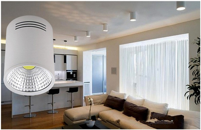 High Power COB LED Down Light For Mall Lighting 110V 30W 100lm/w