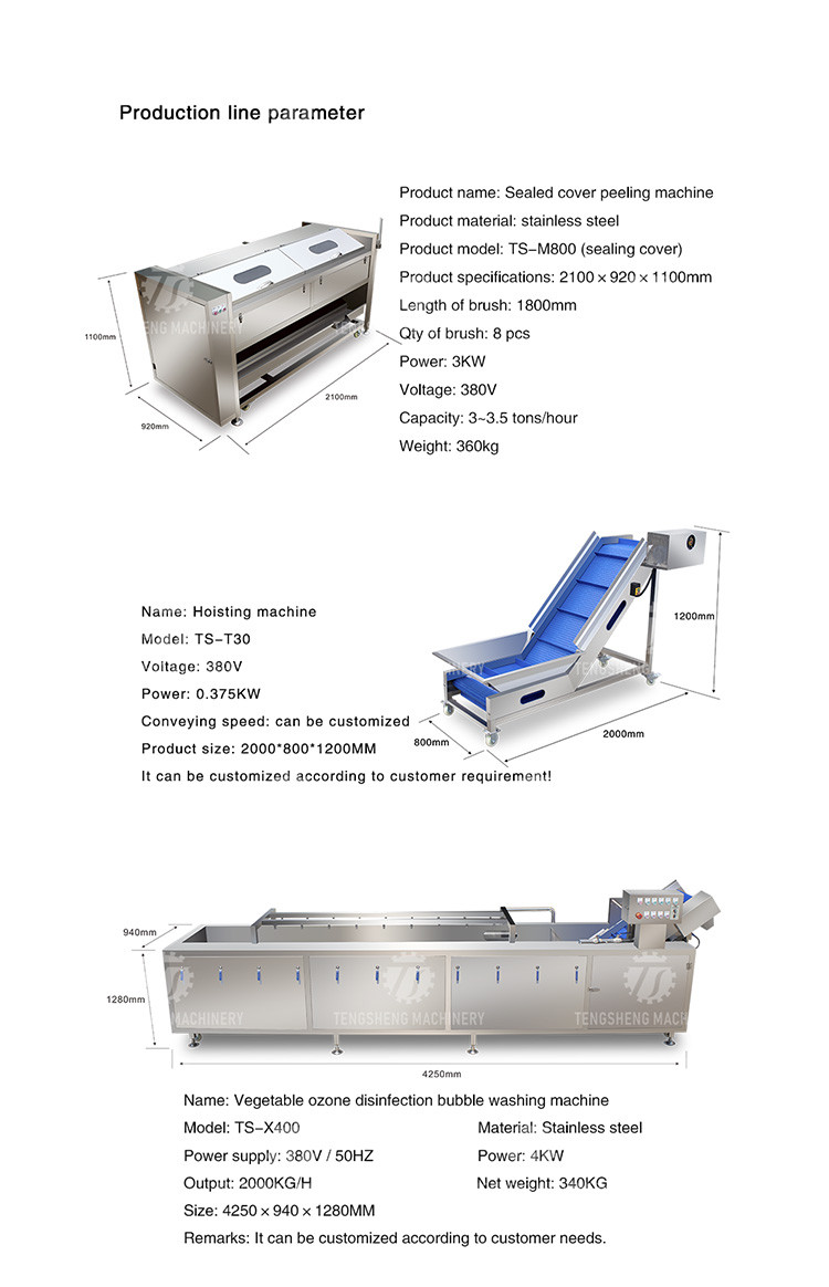 Vegetable Hair Roller Bubble Washing Selection Cutting Machine Production Line