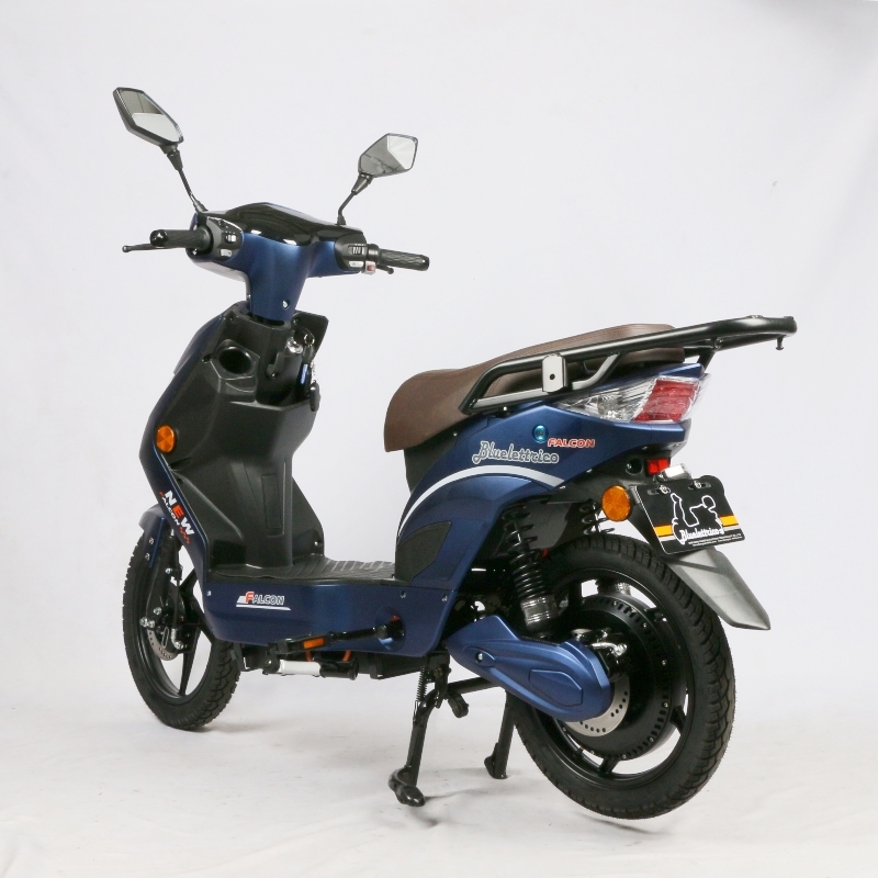 48V 800W High Power Electric Moped Bike EEC Certification For Unisex Riders