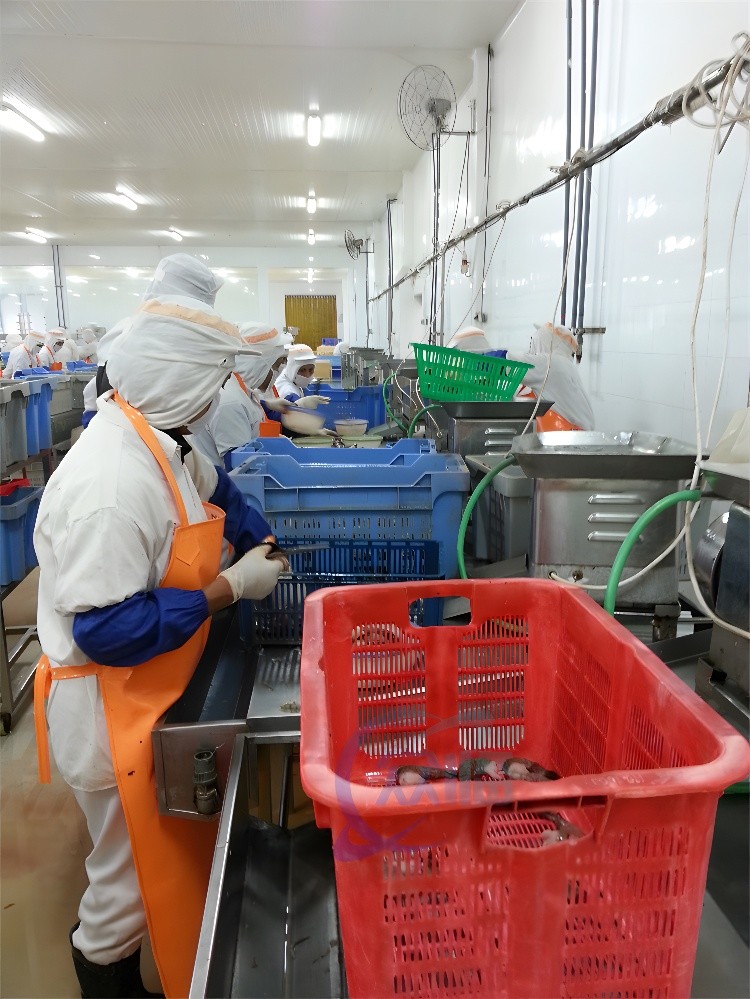 0.12KW Stable Shrimp Cutting Machine Multi Function 510x400x300mm
