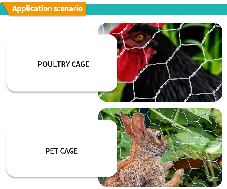 PVC Coated Cage Coop Fence Wire Mesh Rolls Hexagonal Wire Mesh Netting For Stone Loading