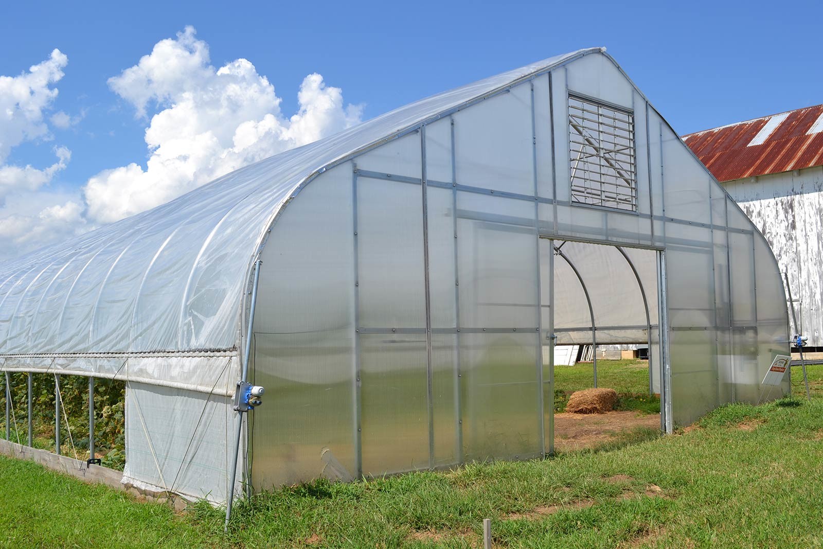 100 Micron PE Film Greenhouse Single Layer Plastic Tunnel Greenhouse