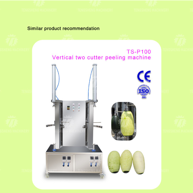 1.0KW 120KG Peeler jackfruit papaya pumpkin wax gourd peeler all kinds of fruit peeling machine