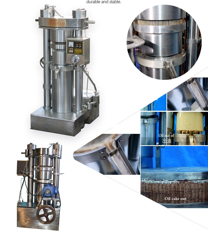 Durable Hydraulic Oil Extractor Sesame Oil Press Machine Cold / Hot Press