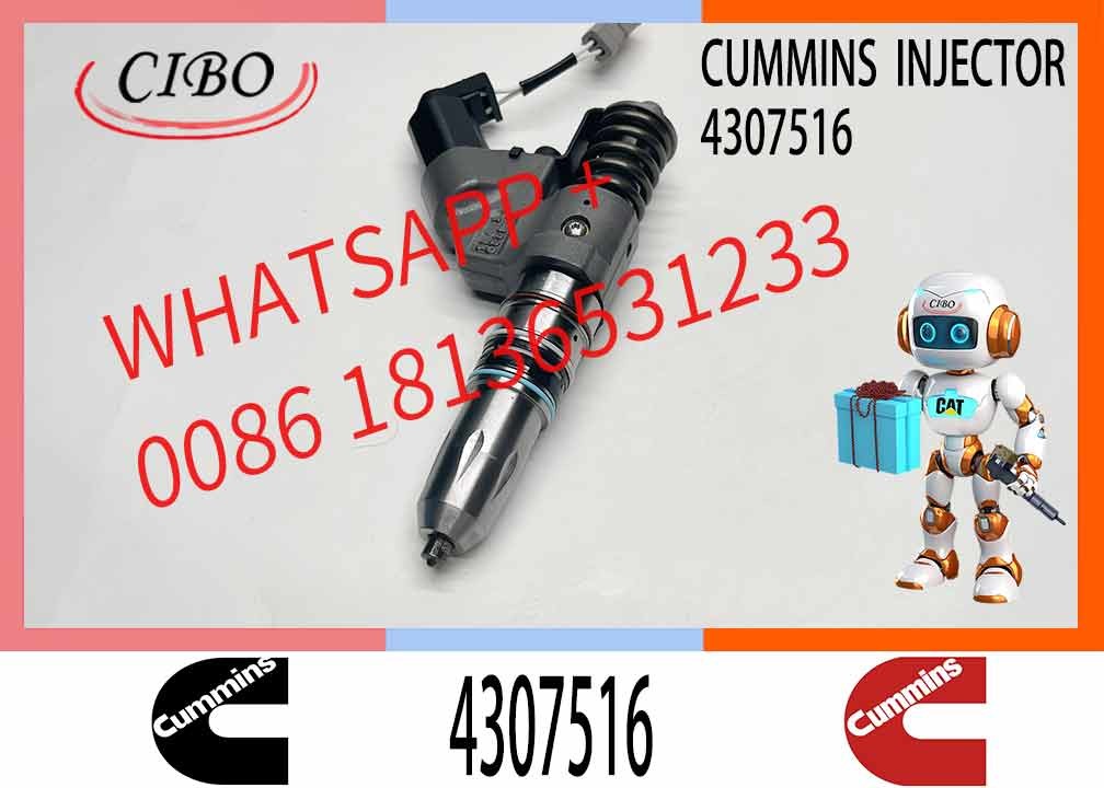 Construction Machinery Part N14 QSM ISM QSM11 ISM11 M11 Diesel Engine Parts 4307516 Diesel Fuel Injector