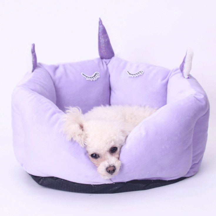 unicorn cat bed