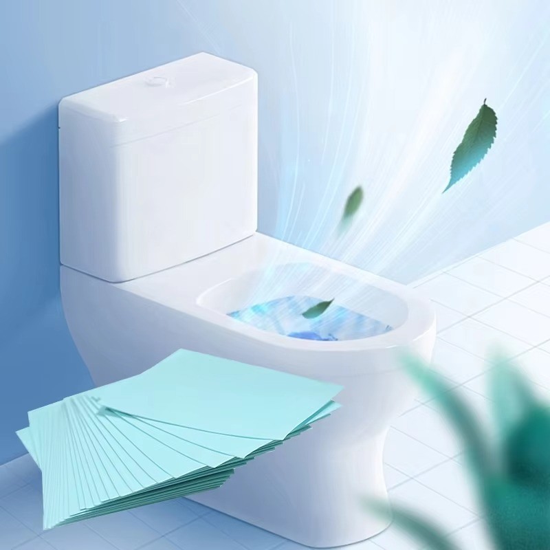 Eco Friendly Biodegradable Toilet Cleaning Strips Plant Based Customizable