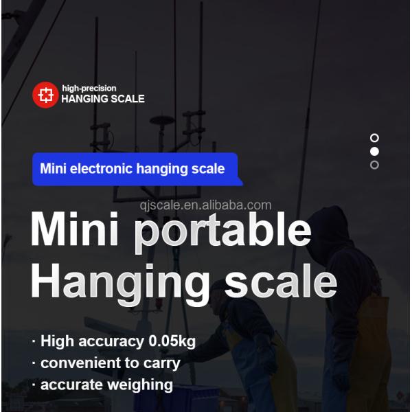 50g Accuracy Electronic Industrial Hanging Scale 300kg Digital Crane Scale with Customized OEM Support