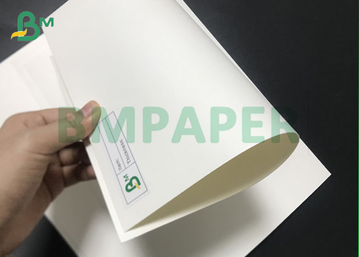 AAA Grade 150gsm to 330gsm 1S / 2S Polyethylene Coated Bleached Cup Carton