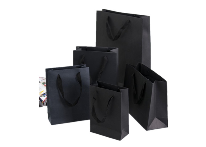 Custom Coated Foldable Paper Bag for Luxury Gift Paper Shopping Bag with Drawstring Handle