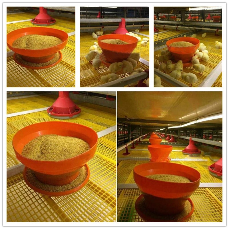 Poultry Farm Turbo 1.5kg Baby Chick Feeder Automatic Broiler Day Old Doc