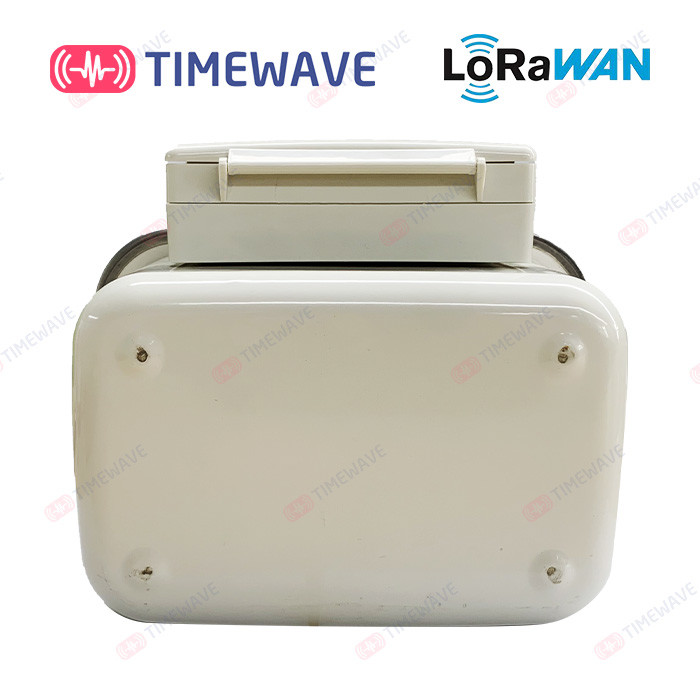 Grade 1.5 Remote Smart Gas Meter Wireless LoRaWAN Horizontal Installation