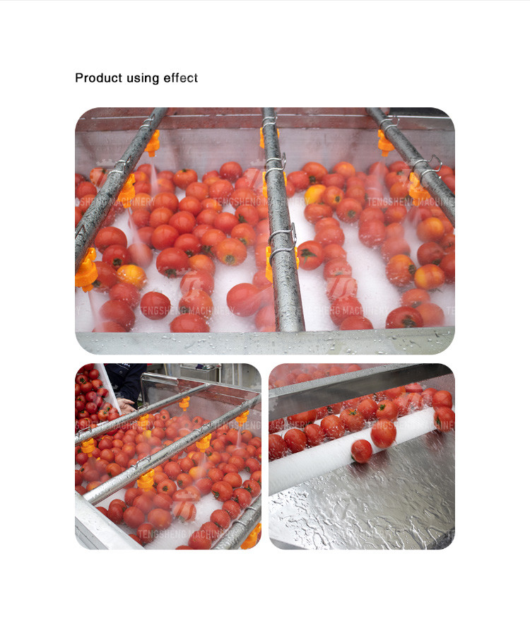 2.5KW Potato flat roller cleaning equipment seafood cleaning machine potato cleaning machine equipment