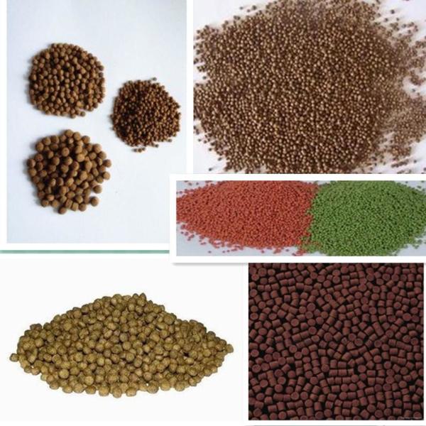 SUS 304 Floating Fish Feed Machine With Different Molds