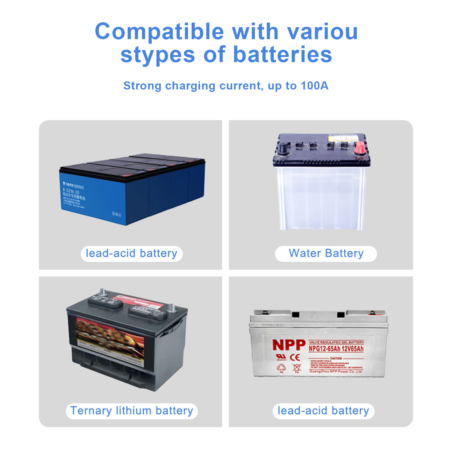 3000 Watt Ups Inverter 12V 220V Bi-Directional Power Inverter with 100A Charger