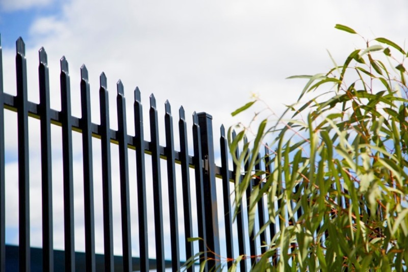 2.1m high x 2.4m width Steel Picket Fence Powder Coated Black Color China supplier