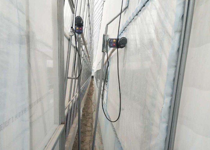 6m 7m 8m 9m Span Clear Plastic Film Greenhouse Vegetable Farming Tomatoes Pepper Lettuce