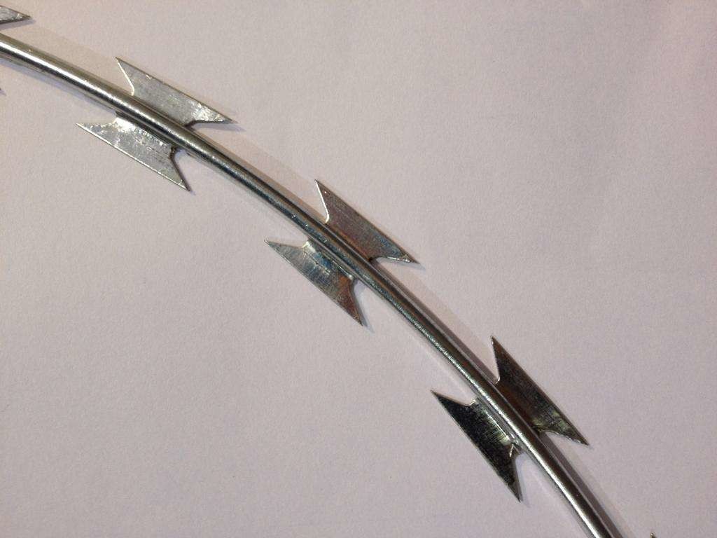Hot-Dipped Galvanized Razor Barbed Wire with BTO-11 BTO-22 / Bazor Barbed