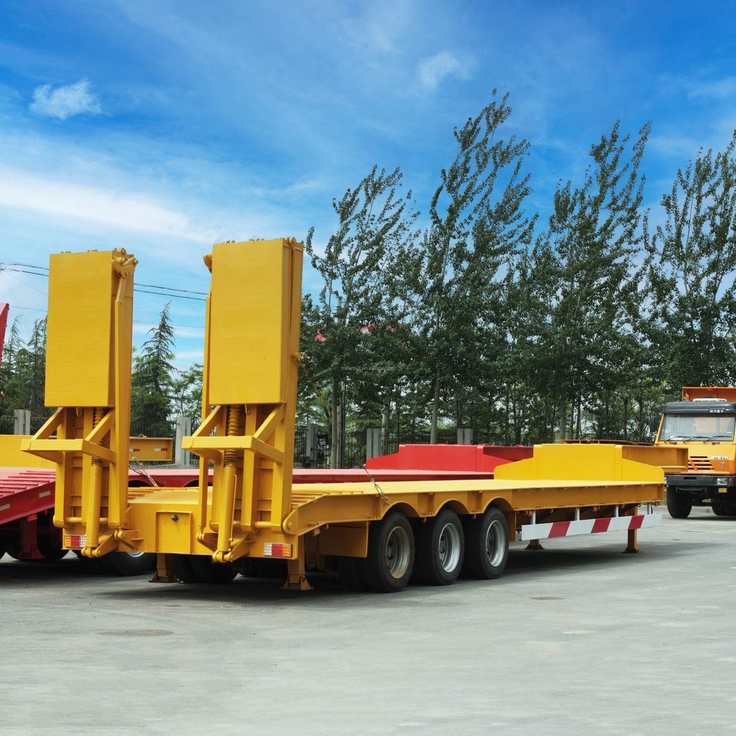 30t Capacity with 2 Axles Fixed Gooseneck Fgn Low Bed Trailer