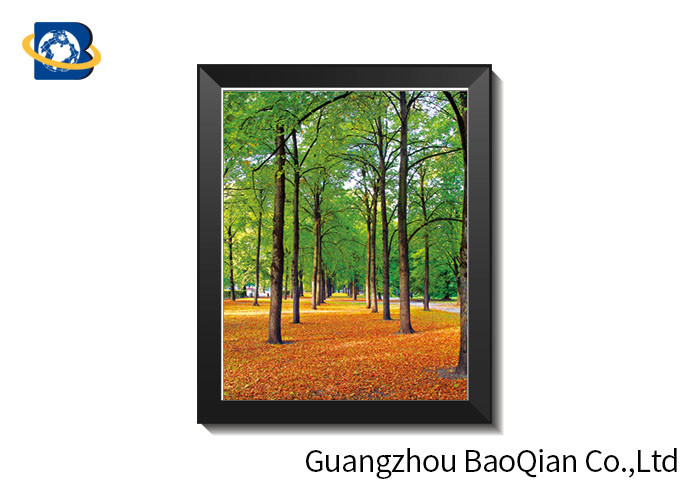 PVC Frame 3D Lenticular Pictures Format Of Customer Images Clear PSD AI PDF TIFF JPG