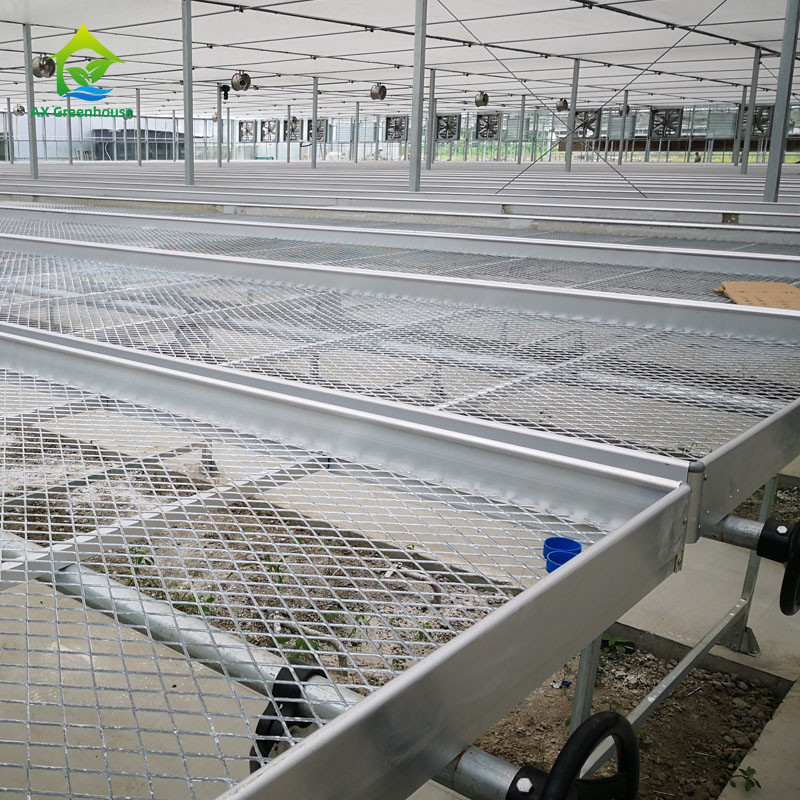 Hot Galvanized Steel Frame Commercial Greenhouse Tables with Adjustable Shelving and UV Protection