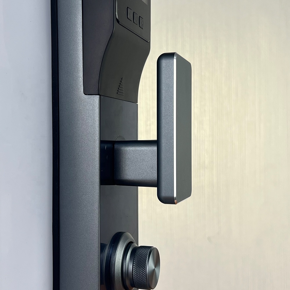 Smart Fingerprint House Door Lock Face Recognition Aluminum Alloy Material