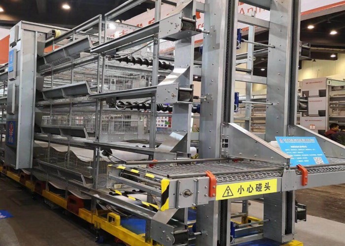 Professional Poultry Egg Production Equipment For Layer Chicken Farm