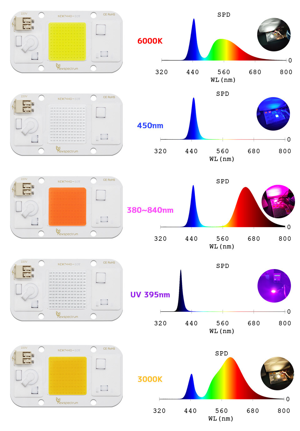Solderless UV LED Module COB Cold White Light Beads For Floodlights