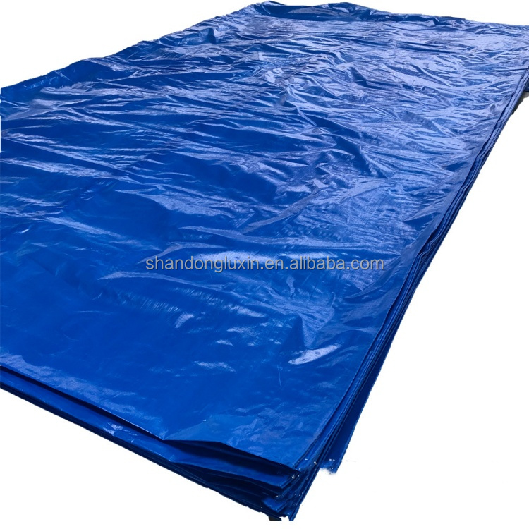 2024 PE Tarpaulin Stripe HDPE Fabric Waterproof Blue Poly Tarp for Outdoor-Agriculture