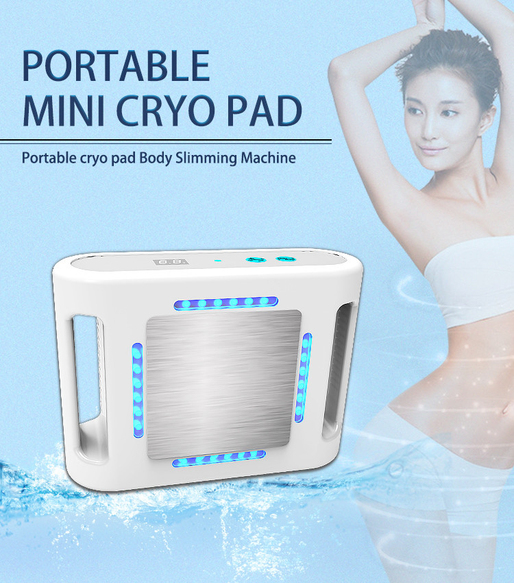LF-251 Portable Mini Cryo Frozen Fat Machine Mini Cryotherapy Pad Frozen Freeze Slimming Cool Fat Machine