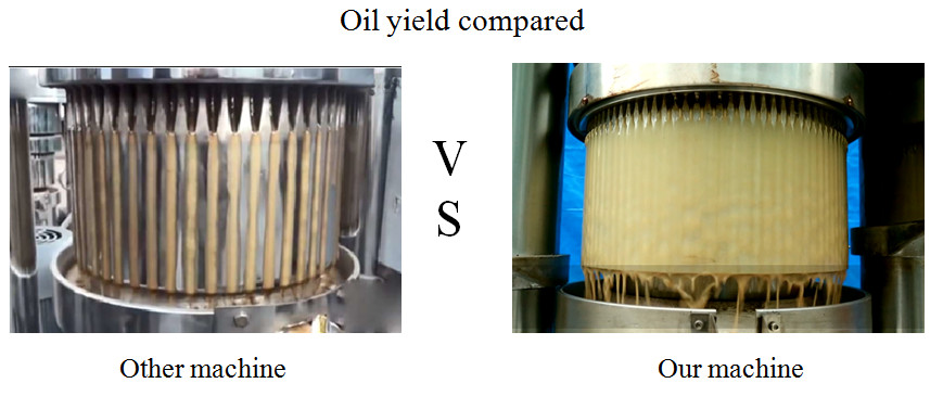 Commerical Hydraulic Oil Press Machine High Pressure 11kg / Batch Capacity For Olive