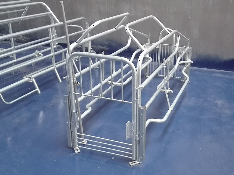 Complete Hot Dip Galvanized Pig Farrowing Crate 3.6*2.2*1m Size Easy To Assemble